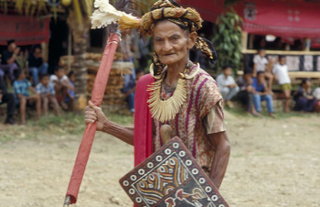 Illustration for article titled Bienvenidos a Toraja, el lugar donde entierran a los niños en el interior de los árboles